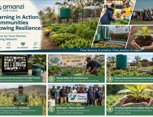 From Learning to Practice: The Amanzi for Food Partner Learning Network in Action